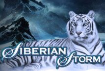 Image Of The Slot Machine Game Siberian Storm Provided By Igt